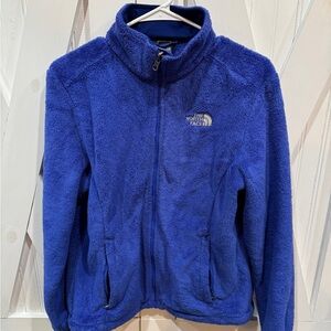 The North Face Blue Fleece Jacket